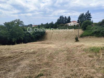 For sale Bussieres 4682 m2 Loire (42510) photo 0