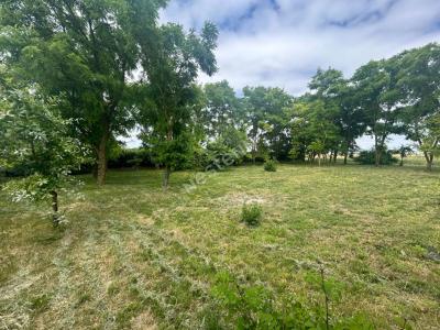 Acheter Terrain 1454 m2 Chapelle-saint-martin-en-plaine