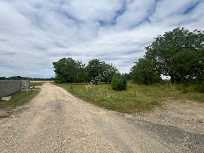 Acheter Terrain Chapelle-saint-martin-en-plaine Loir et cher