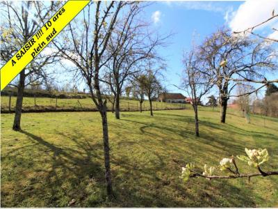 For sale Grosmagny 979 m2 Belfort (90200) photo 0