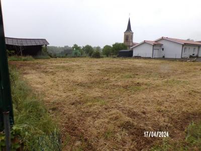 For sale Peyrehorade 1018 m2 Landes (40300) photo 3