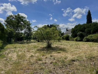 For sale Chinon 1638 m2 Indre et loire (37500) photo 1