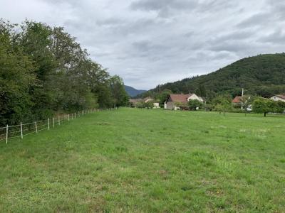 For sale Plancher-bas 1800 m2 Haute saone (70290) photo 0