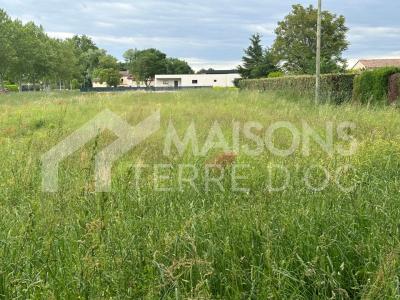 Annonce Vente Maison Revel 31