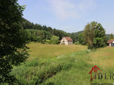 For sale Bruyeres 16 rooms 328 m2 Vosges (88600) photo 0