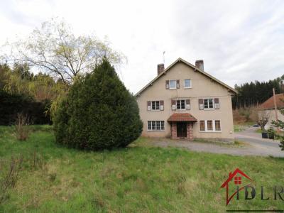 For sale Bruyeres 16 rooms 328 m2 Vosges (88600) photo 1