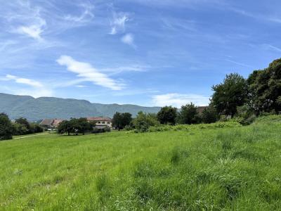 For sale Usinens 555 m2 Haute savoie (74910) photo 2