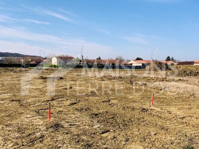 For sale Revel 300 m2 Haute garonne (31250) photo 0