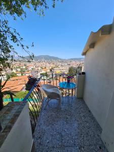 For rent Nice PARC IMPARIAL 1 room 13 m2 Alpes Maritimes (06000) photo 3