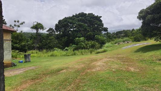 For sale Petit-bourg 3000 m2 Guadeloupe (97170) photo 0