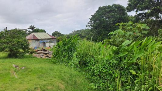 For sale Petit-bourg 3000 m2 Guadeloupe (97170) photo 1