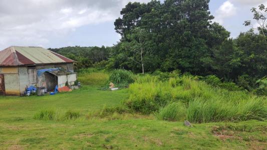 For sale Petit-bourg 3000 m2 Guadeloupe (97170) photo 2