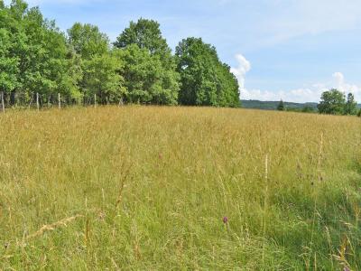 Acheter Terrain Cassagne Dordogne