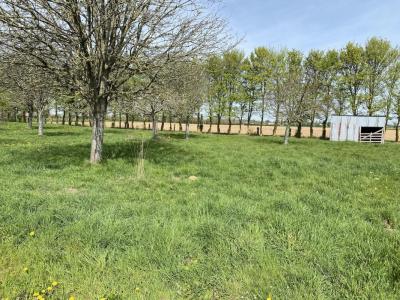 Acheter Terrain Bayeux 55900 euros