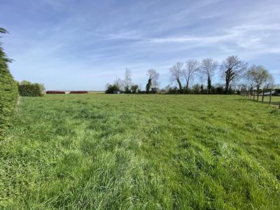 Acheter Terrain 541 m2 Bayeux