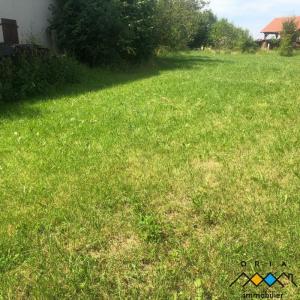 For sale Vieville-en-haye 1308 m2 Meurthe et moselle (54470) photo 3