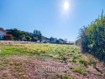 For sale Champtoceaux OREE-D'ANJOU 1044 m2 Maine et loire (49270) photo 3