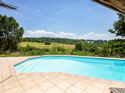 For sale Pin-murelet 9 rooms 370 m2 Haute garonne (31370) photo 3