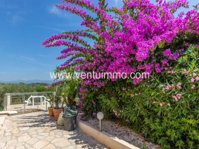 For sale Bocca 7 rooms 302 m2 Alpes Maritimes (06150) photo 4