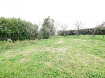 For sale Soussans 800 m2 Gironde (33460) photo 0