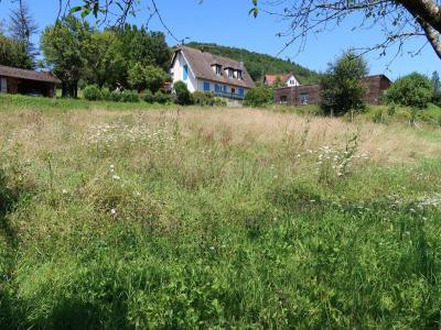 Acheter Terrain Besancon 95000 euros