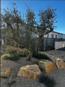 For sale Comps 346 m2 Gard (30300) photo 0