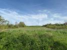 For sale Land Saint-florentin  2400 m2