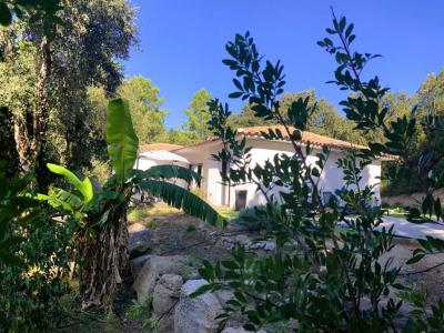 For sale Lecci 8 rooms 198 m2 Corse (20137) photo 3