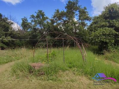 Acheter Maison Loye-sur-arnon Cher