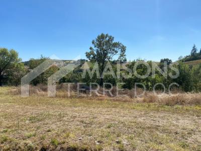 For sale Revel 1600 m2 Haute garonne (31250) photo 1