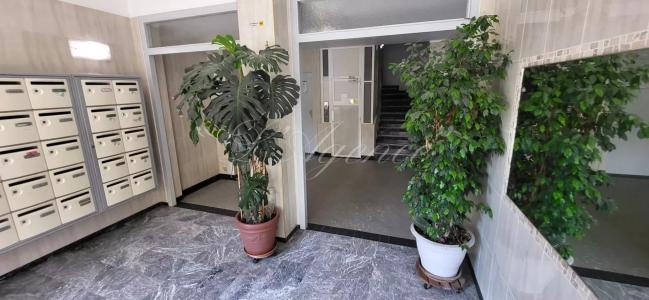 Annonce Vente 3 pices Appartement Nice 06