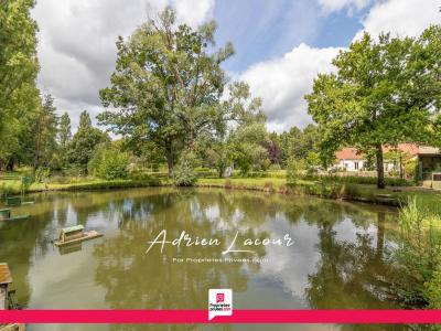 Annonce Vente 6 pices Maison Pruniers-en-sologne 41