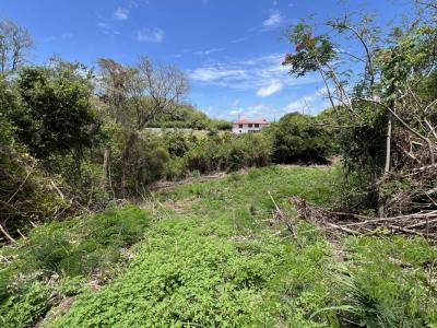 For sale Robert 2321 m2 Martinique (97231) photo 3