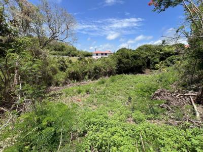 For sale Robert 2321 m2 Martinique (97231) photo 4