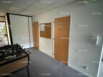 For rent Lezennes 296 m2 Nord (59260) photo 2