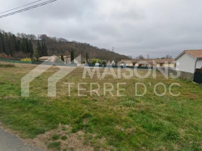 Annonce Vente Maison Mauzac 31