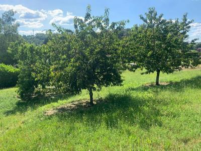 For sale Sarlat-la-caneda 10 rooms 230 m2 Dordogne (24200) photo 4