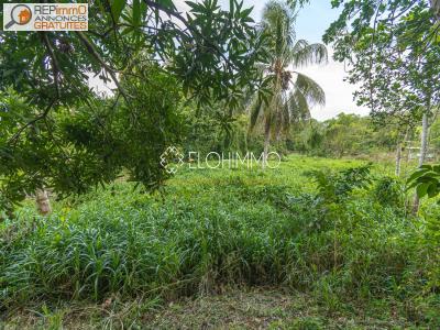 Acheter Terrain Lamentin Martinique