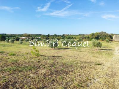 For sale Pouzolles 5000 m2 Herault (34480) photo 2