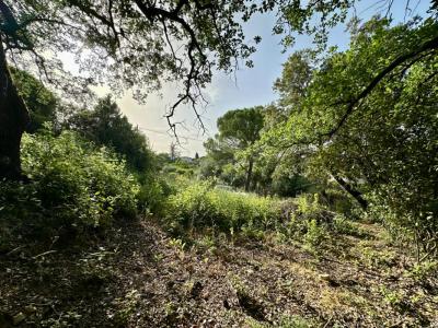 Acheter Terrain 630 m2 Draguignan