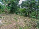 For sale Land Lamentin Pelletier