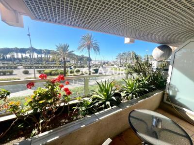 Vacation rentals Golfe-juan 1 room Alpes Maritimes (06220) photo 3