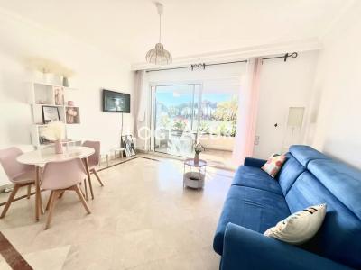 Vacation rentals Golfe-juan 1 room Alpes Maritimes (06220) photo 4