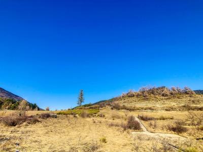 Acheter Terrain Annot Alpes de haute provence