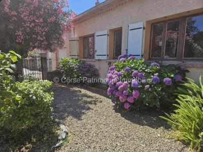 Annonce Vente 3 pices Maison Santa-lucia-di-moriani 20