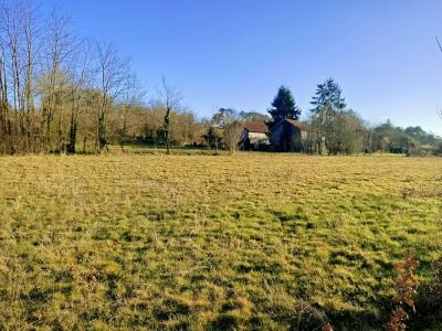 For sale Mussidan 1 room 2662 m2 Dordogne (24400) photo 0