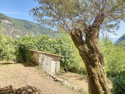 For sale Entrevaux 8 rooms 140 m2 Alpes de haute provence (04320) photo 2