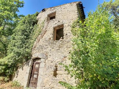 Acheter Maison Entrevaux 445000 euros