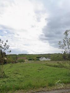 Annonce Vente Terrain Coulanges-sur-yonne 89