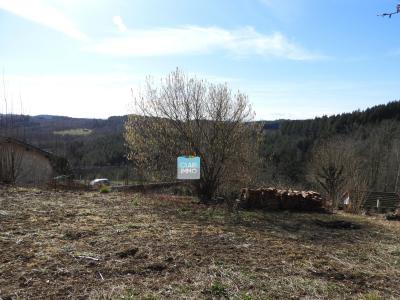 Acheter Terrain Saint-remy-sur-durolle Puy de dome